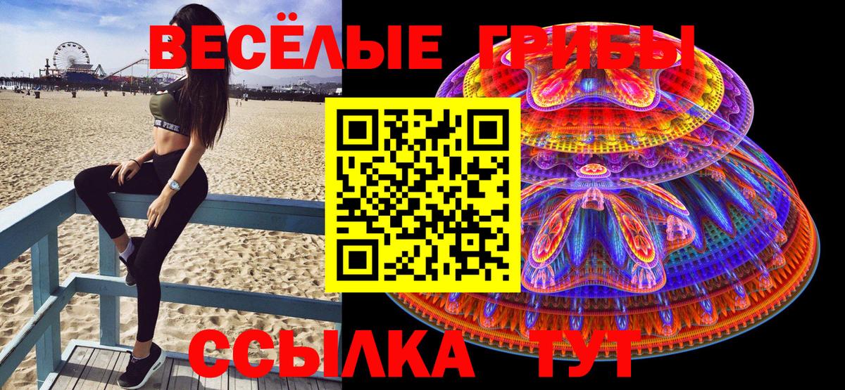 Галлюциногенные грибы мицелий  Вход с VPN  Пушкино 